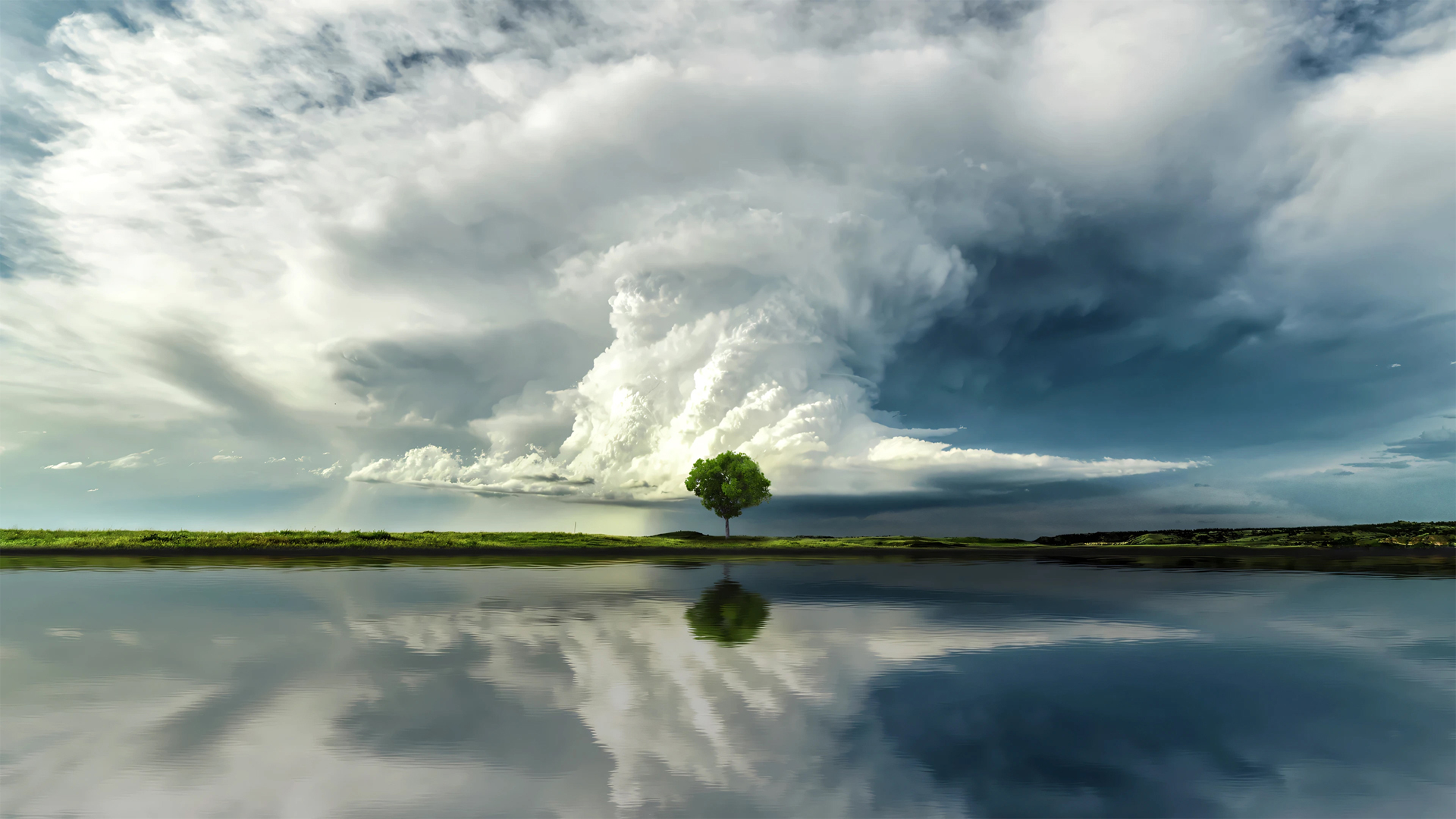 带云景奇观的单树湖泊倒影风景电脑桌面壁纸