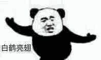 聊天不冷场！这组群聊专用GIF动图太好用了