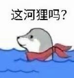 火出圈的“这河里吗”表情包到底啥梗？