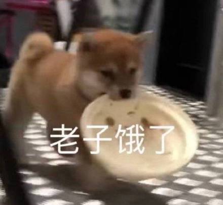 8月24日斗图表情包合集来啦