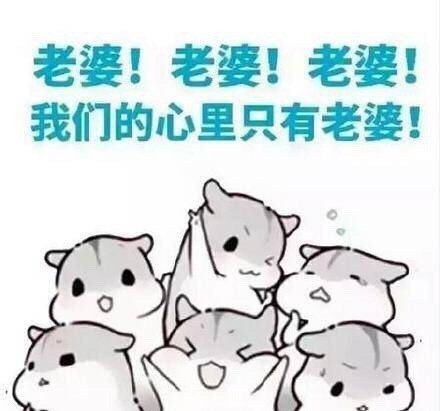 给老公们整理的专属爱老婆表情包合集
