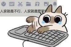 12月29日斗图表情包精选合集