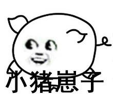 这套怼人表情包，小兔崽子小狗蛋子王八羔子全齐了