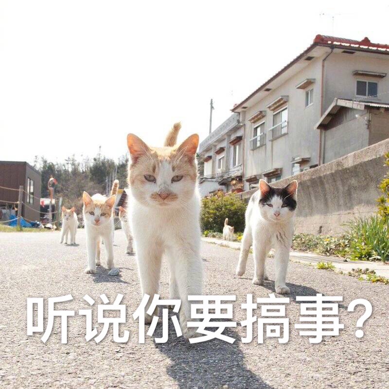 喵星人搞事表情包合集！怼人斗图超好用