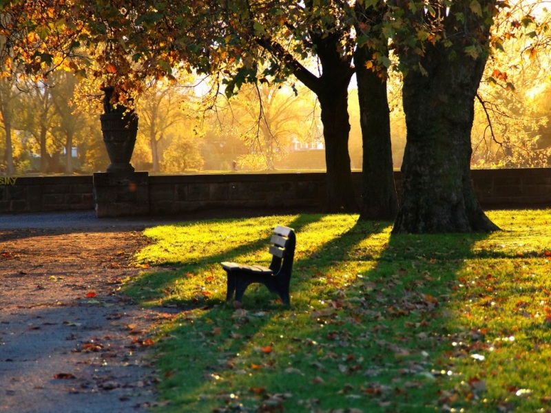 秋日傍晚公园静景！长椅落叶草地动漫风电脑壁纸