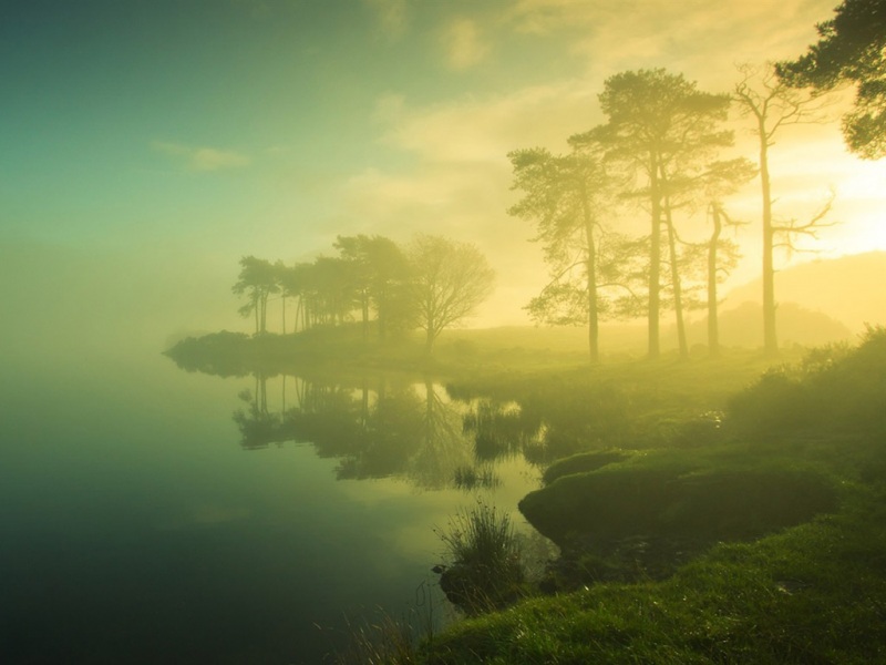 朦胧氛围感风景电脑动漫壁纸上新啦