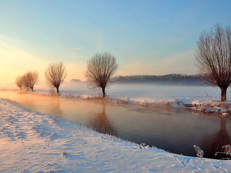 冬日雪景小河电脑壁纸 氛围感拉满的治愈桌面背景