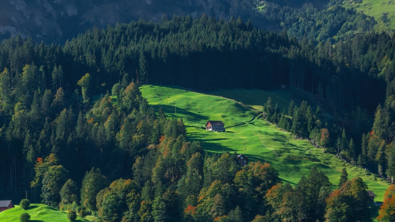 治愈系林间木屋风景电脑壁纸 适配多尺寸高清可选