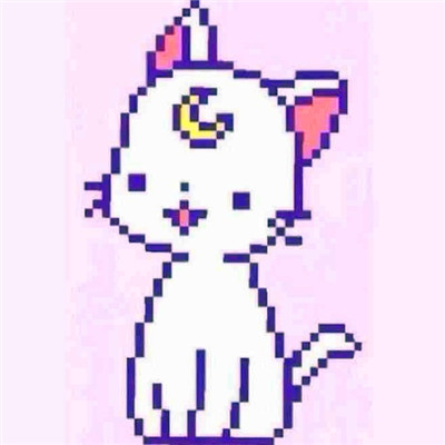 猫咪情侣头像来啦！28组高清可爱款一对两张