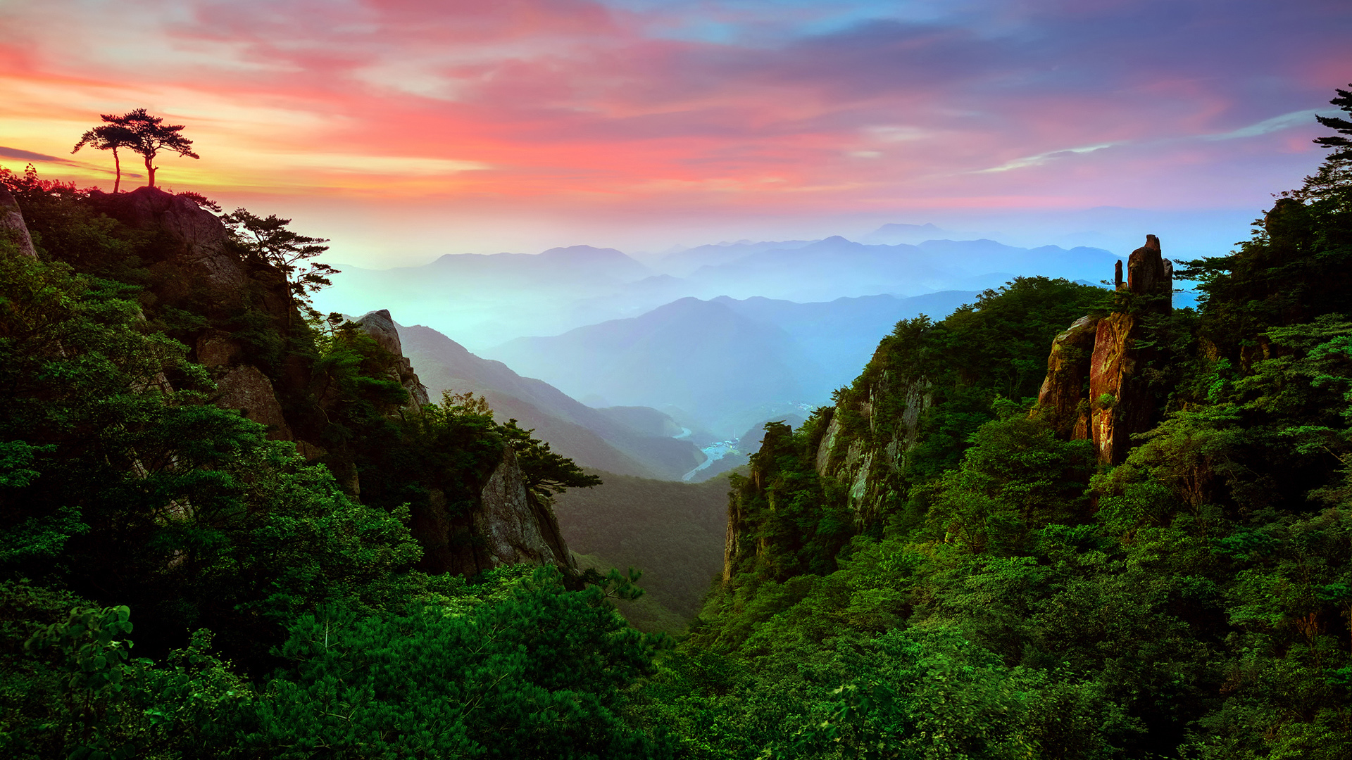 森林山谷薄雾缭绕 这套高清电脑壁纸氛围感拉满