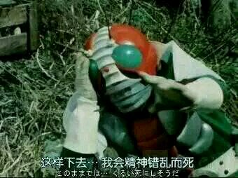 1月27日斗图表情包合集来啦