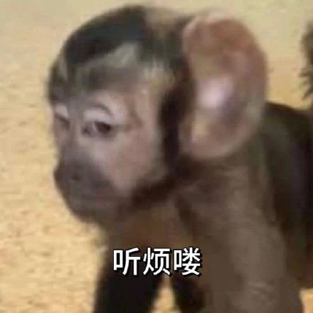 全网最全吗喽和水豚斗图表情包合集