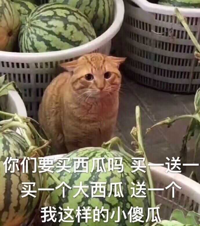 6月17日斗图表情包合集来啦