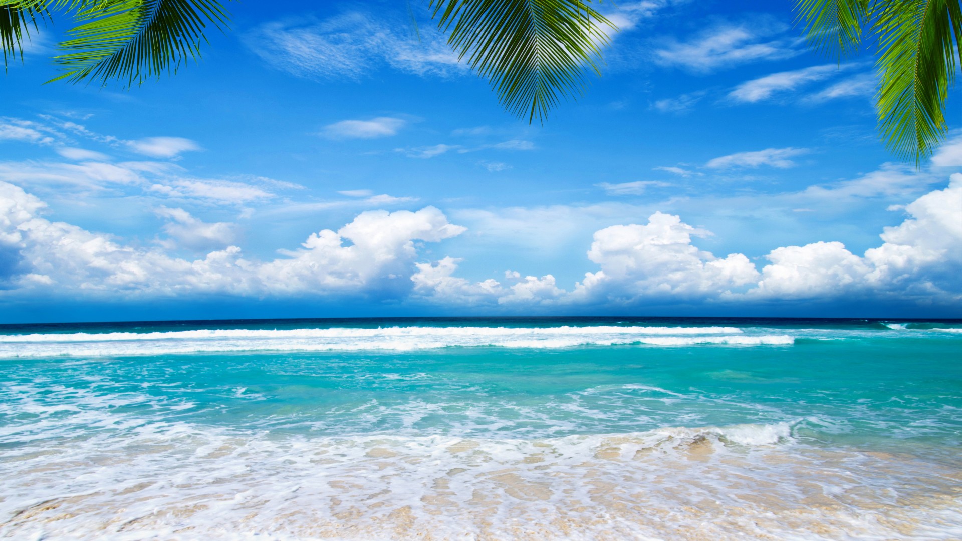 夏日沙滩海岸热带天堂 棕榈树自然风景电脑动漫壁纸