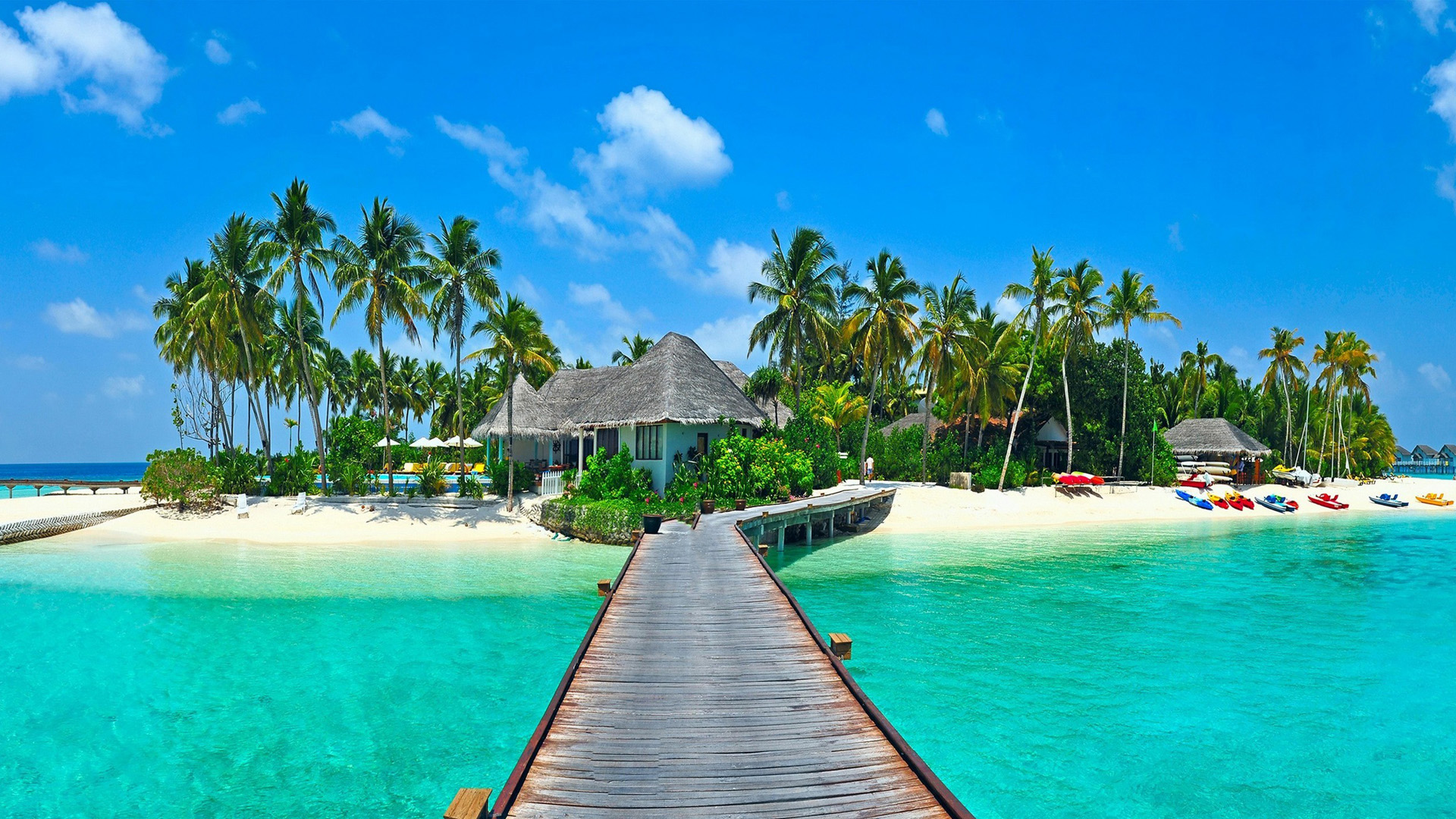 热带小岛度假风！棕榈树码头海景电脑动漫壁纸