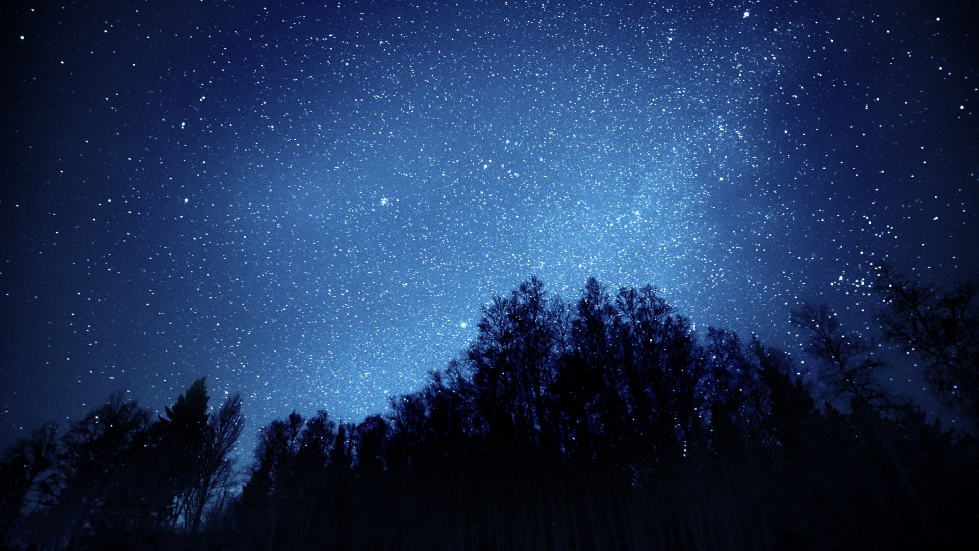 夜晚森林星空风景 多款高清电脑壁纸分享