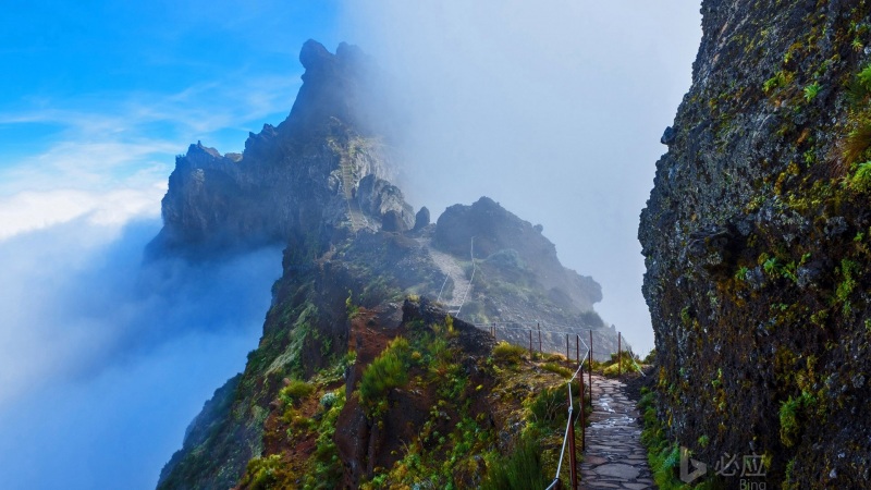 葡萄牙马德拉岛山间小径 适配电脑的动漫风风景壁纸