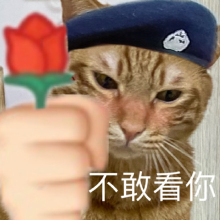 猫咪警长表情包来啦 斗图聊天都能用