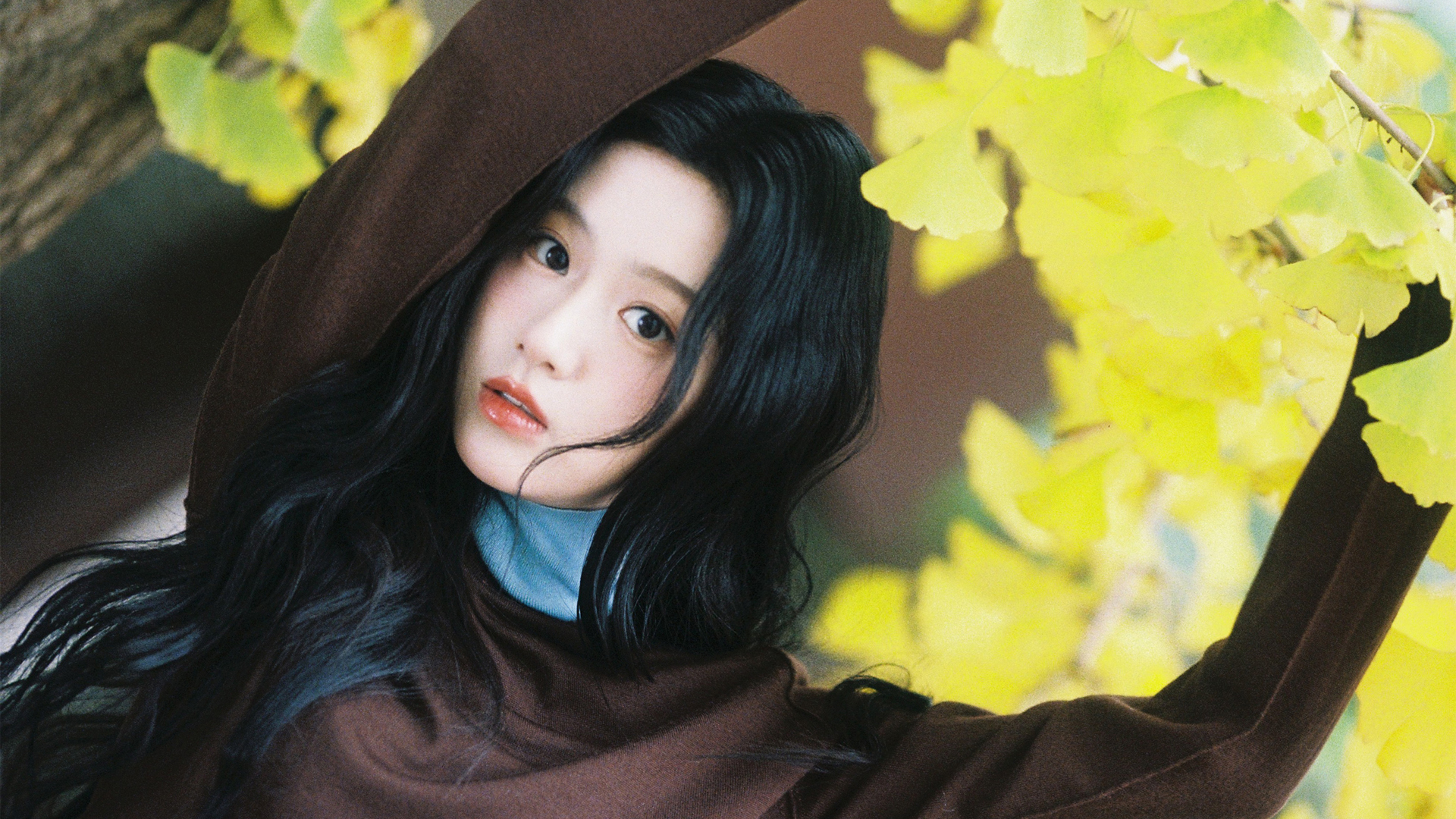 包上恩银杏叶主题高清美女壁纸合集