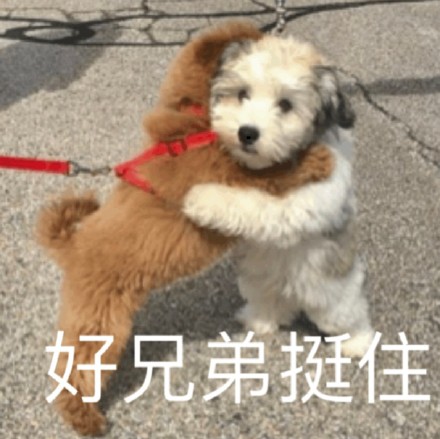 聊天斗图别愁！这套奇奇怪怪动物表情包太好用了