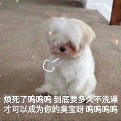 日常聊天救星！这套实用表情包合集直接封神