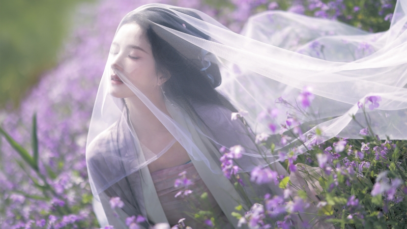 刘些宁头纱紫花唯美壁纸 多款高清电脑桌面图可下载