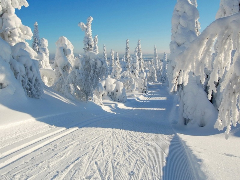 冬日林间雪路天空壁纸 高清多尺寸可选