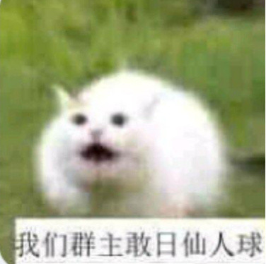 我们群主敢。。。表情包合集