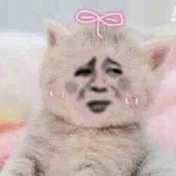 聊天斗图必备！这套魔性变脸猫表情包太上头了