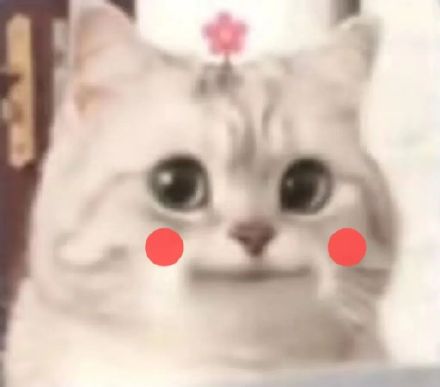 刷到就存！超治愈可爱微笑小猫斗图表情包合集