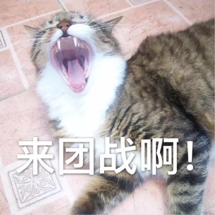 开黑喊到嗓子冒烟？这套王者荣耀表情包太真实了