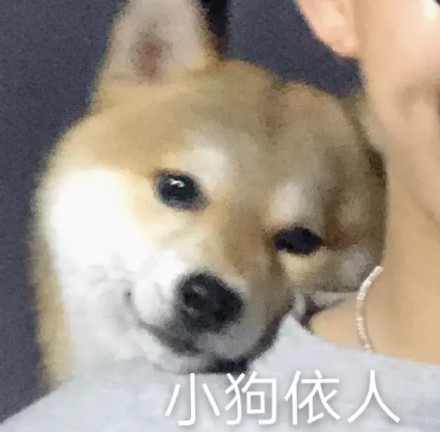 聊天斗图必备！超全小狗表情包合集来了