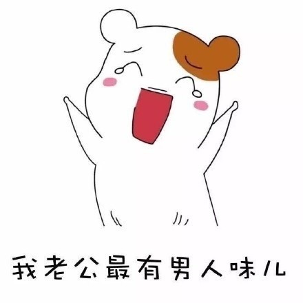 聊天斗图新素材：我老公好像丢了系列表情包