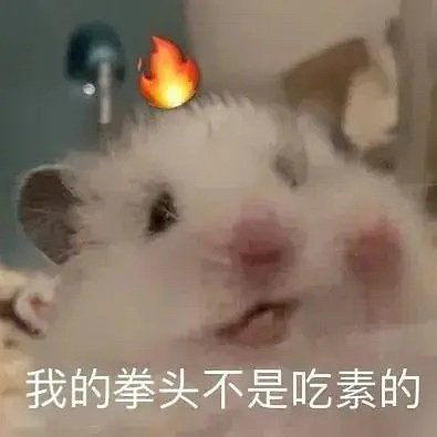 聊天斗图必备！这套小仓鼠表情包太会整活了