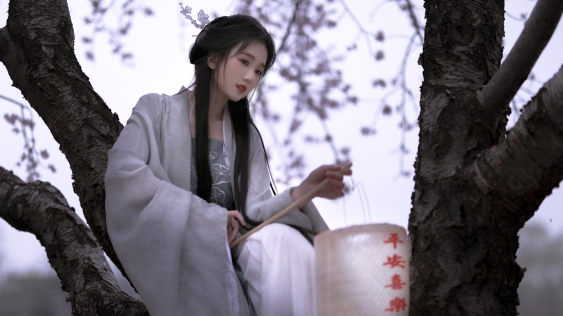 坐在树上的古风美女电脑桌面高清壁纸来了