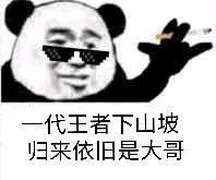熊猫头社会语录表情包合集，斗图必备！
