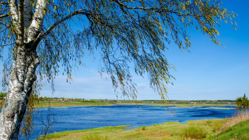 桦树河流草甸天空 这套动漫风电脑壁纸太治愈了