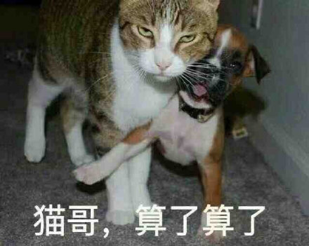 聊天斗图必备！“大哥 算了算了”系列表情包合集