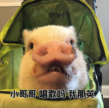 小姐姐搭讪小哥哥的表情包合集来啦