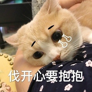 能用来撩对象的猫咪表情包合集