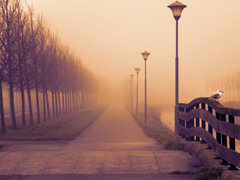 氛围感拉满！有雾秋日电脑动漫桌面壁纸推荐