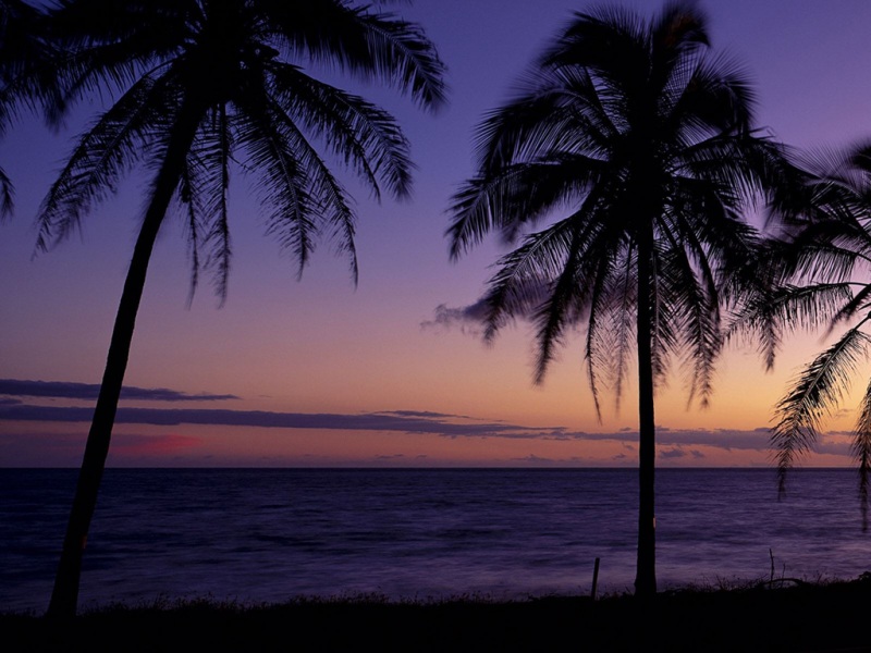 这套微软主题海滩全景壁纸，适配多款电脑屏幕尺寸