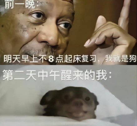 最近大家都在用的斗图表情包都在这了