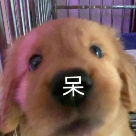 聊天斗图必备！超全小狗表情包合集来了