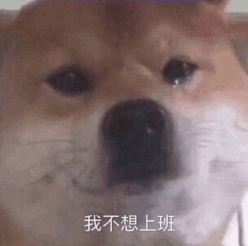 打工人专属表情包合集，斗图再也不用愁