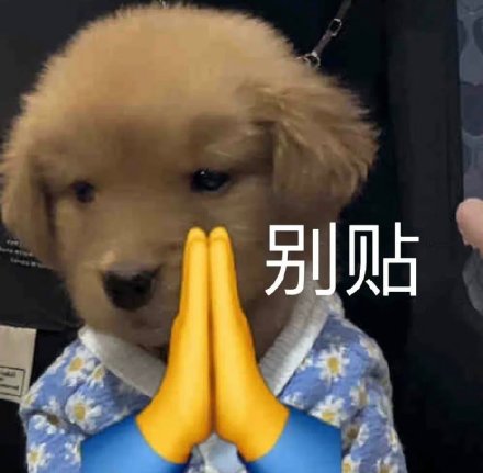 聊天斗图必备！超全小狗表情包合集来了