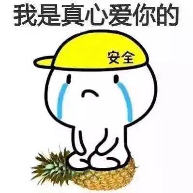 男生道歉专用表情包合集