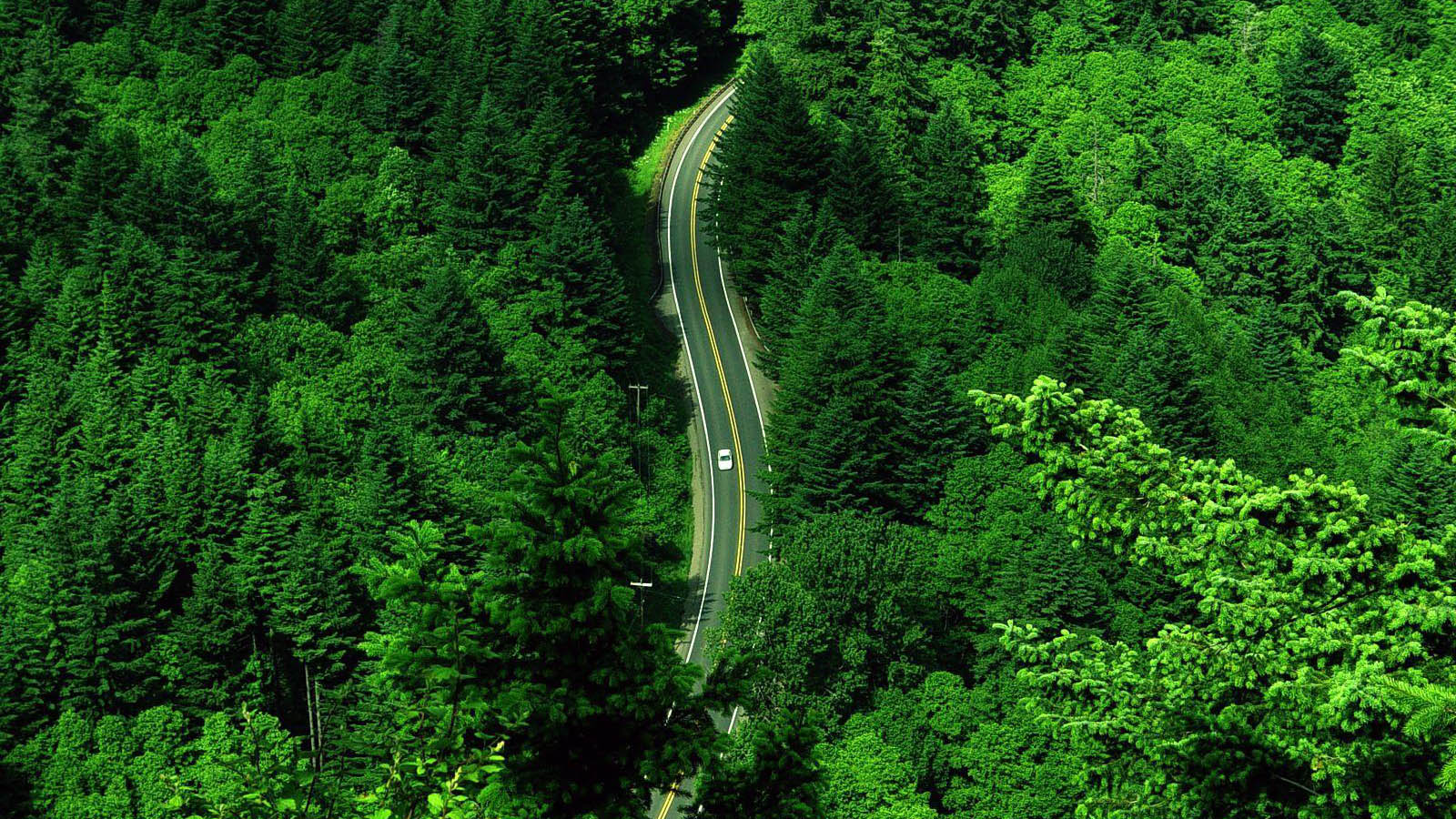 航拍公路风景电脑桌面动漫壁纸