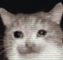 聊天必备！哭泣表情包合集整理好了