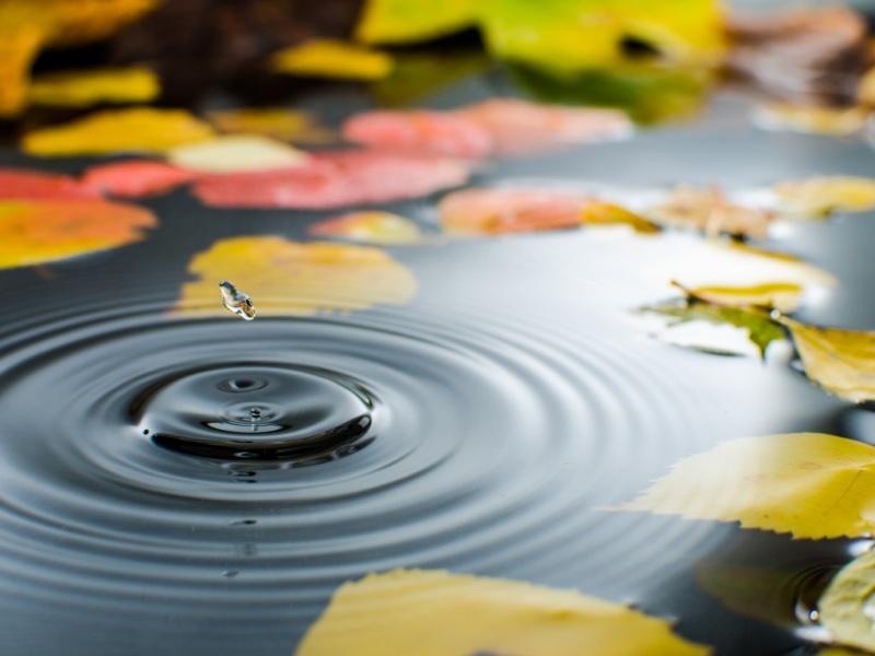 秋日落叶水波壁纸合集